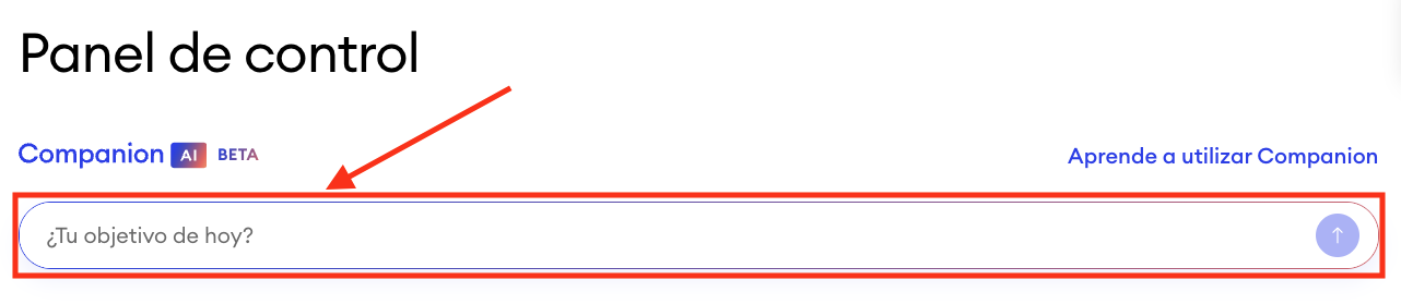 Vista del panel de control de Jimdo donde se muestra el área de Companion Chat, que puede utilizarse para introducir una pregunta.