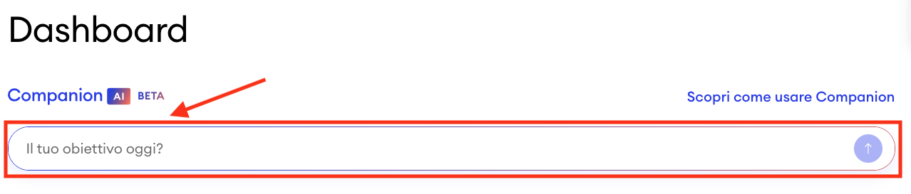 Visualizzazione della dashboard di Jimdo con l’area Companion Chat visibile, utilizzabile per inserire una domanda.