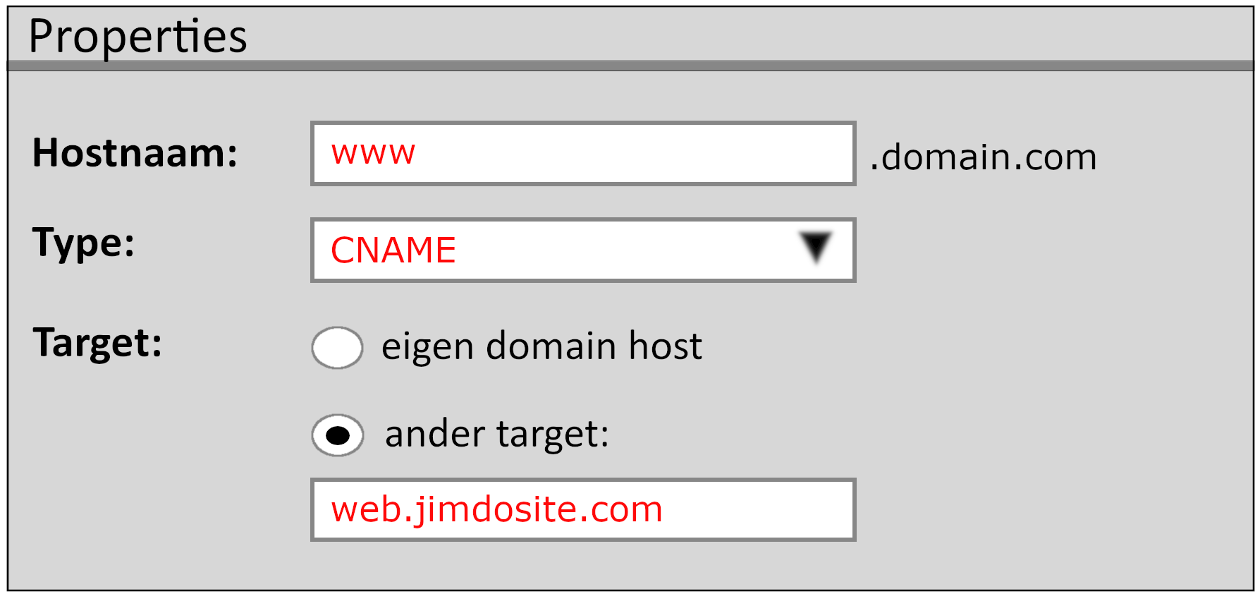 Voorbeeldillustratie van het instellen van een CNAME-omleiding bij een domeinprovider. De afbeelding laat zien hoe een domein wordt doorgestuurd via het www.-subdomein door een CNAME-vermelding toe te voegen in het gedeelte DNS-instellingen van de provider.